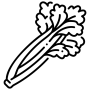 Apio